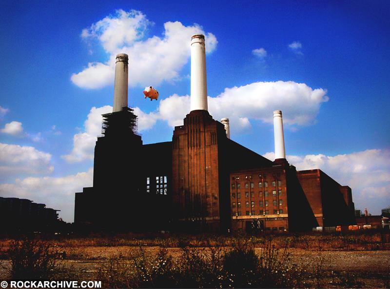 pink-floyd-pf005jf.jpg