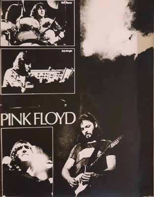 David Gilmour 1977 .jpg
